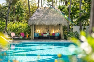 Outdoor pool, sun loungers