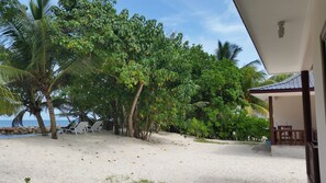 Propiedad frente a la playa con un porche cubierto, palmeras y vista al océano.