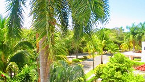 Ảnh chưa phân loại, 4 trong số 49 ảnh, nút