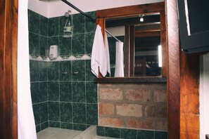 Family Room | Bathroom shower