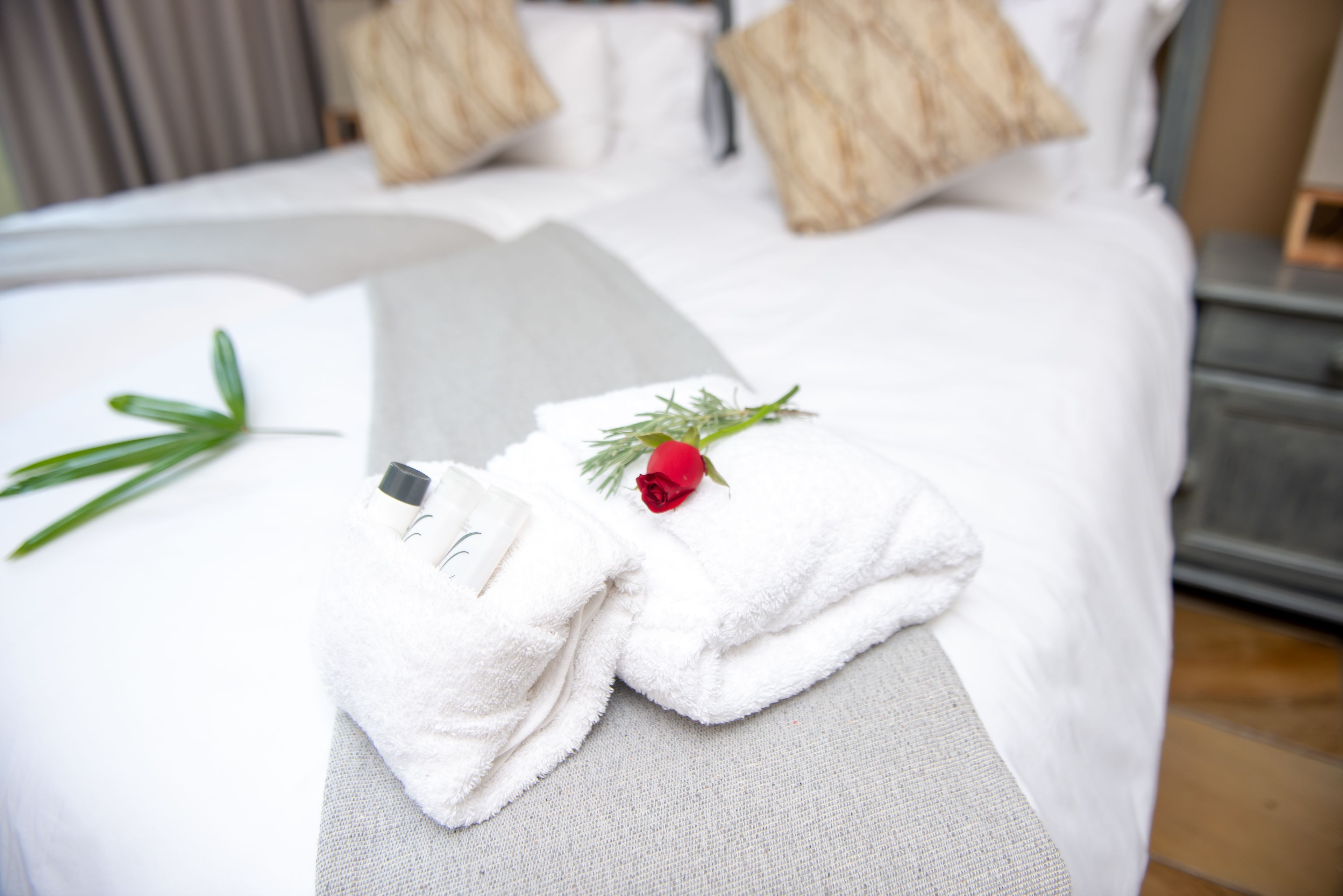 Un lit bien fait, avec des draps blancs, un oreiller gris et une rose rouge posée sur une serviette blanche.