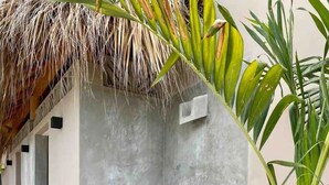 Leilighet – comfort, flere senger, ved stranden | Bad