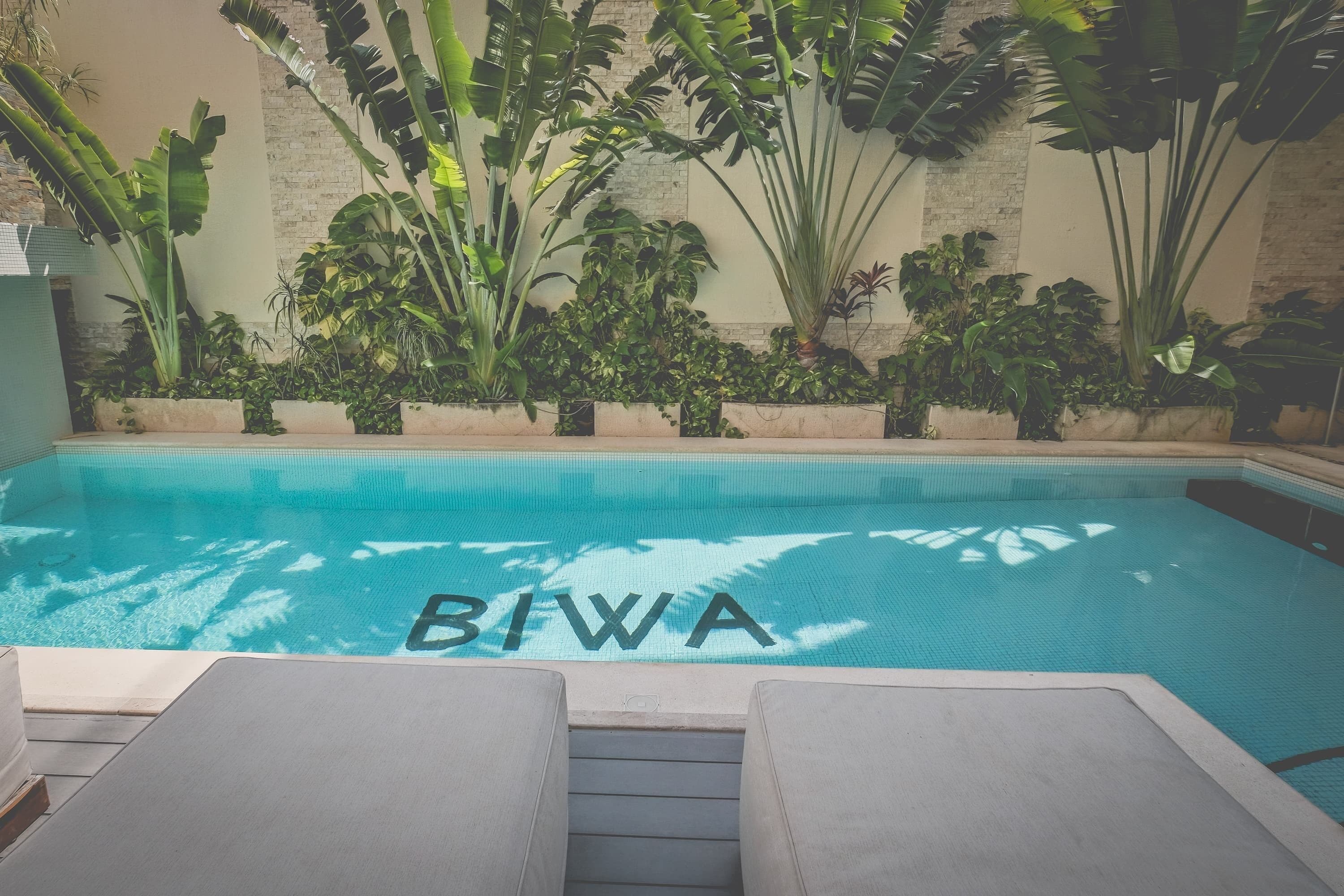 Una piscina con la palabra "BIWA" en el agua, rodeada de exuberante vegetación tropical y un muro de piedra.