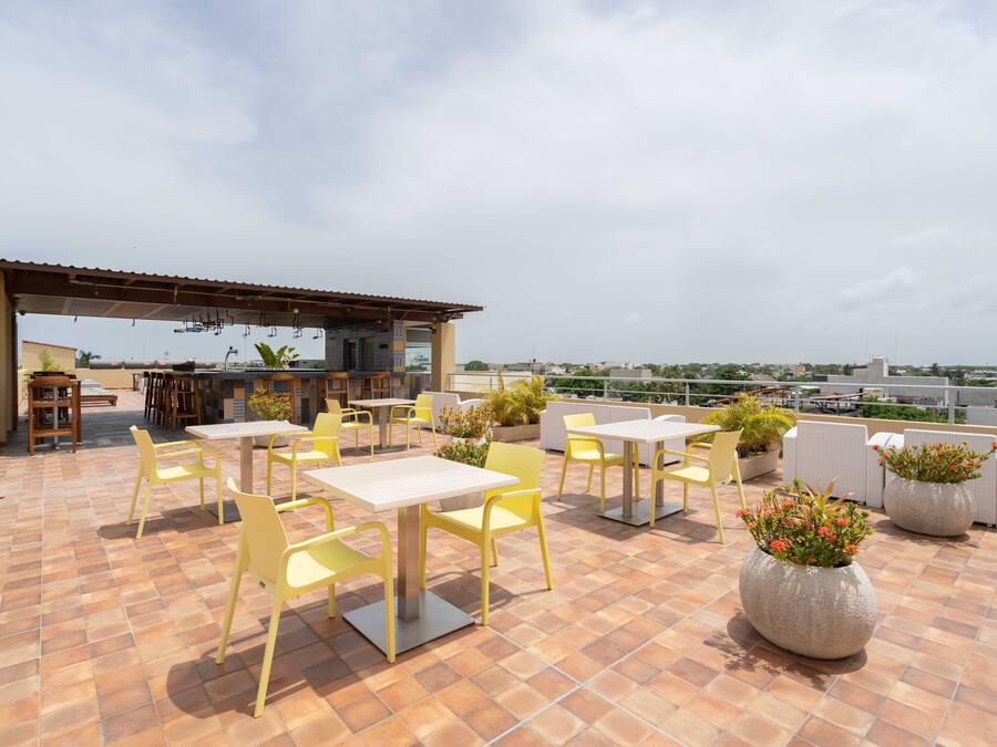 Una terraza en la azotea con sillas y mesas amarillas, asientos al aire libre y plantas en macetas.