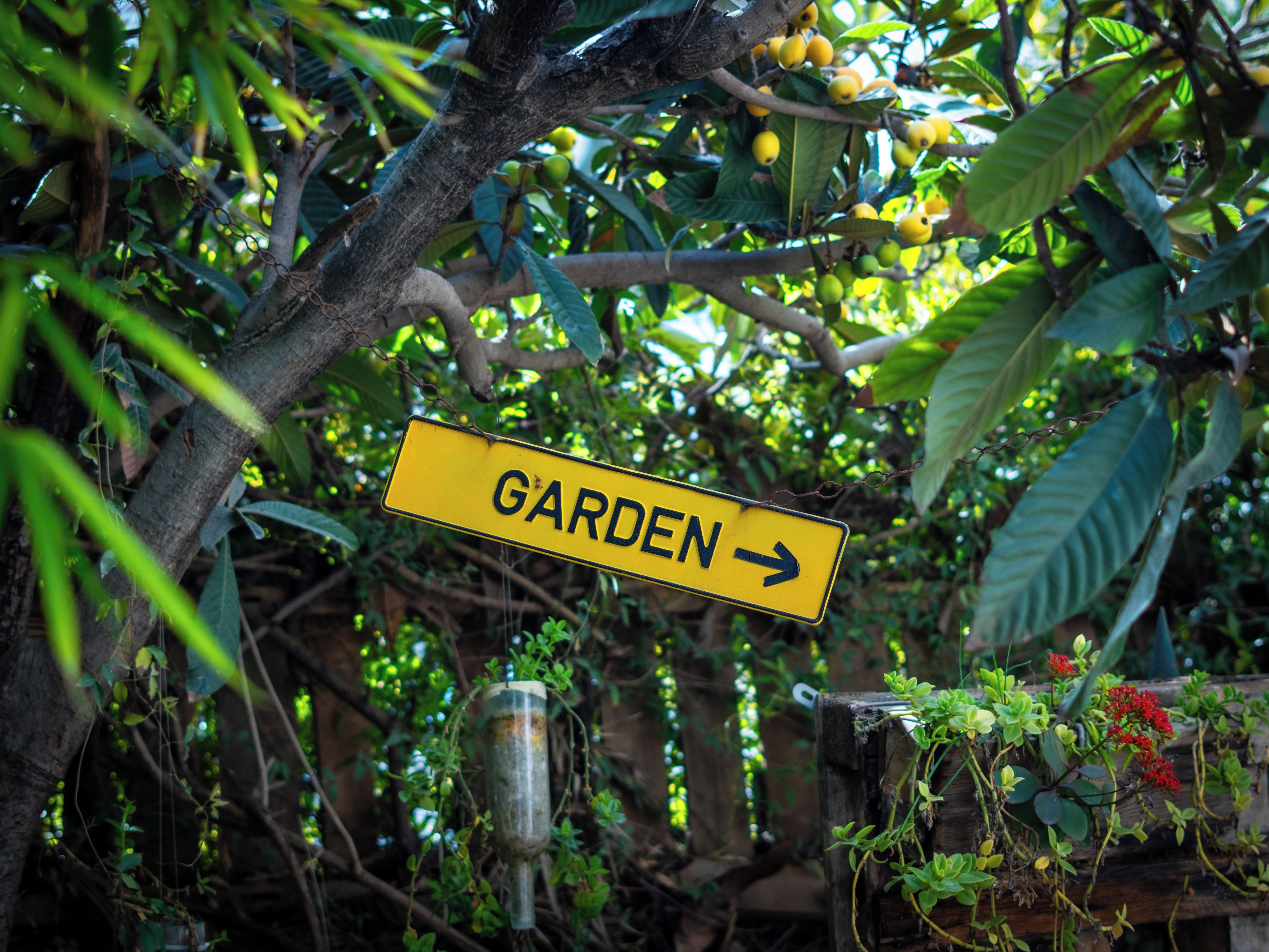A yellow directional sign labeled 'GARDEN' with an arrow pointing to the right, set against a backdrop of lush greenery and a tree.
