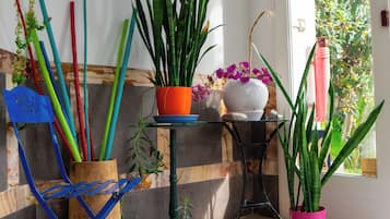 A room with a variety of potted plants, a blue folding chair, and a shelf with decorative items.
