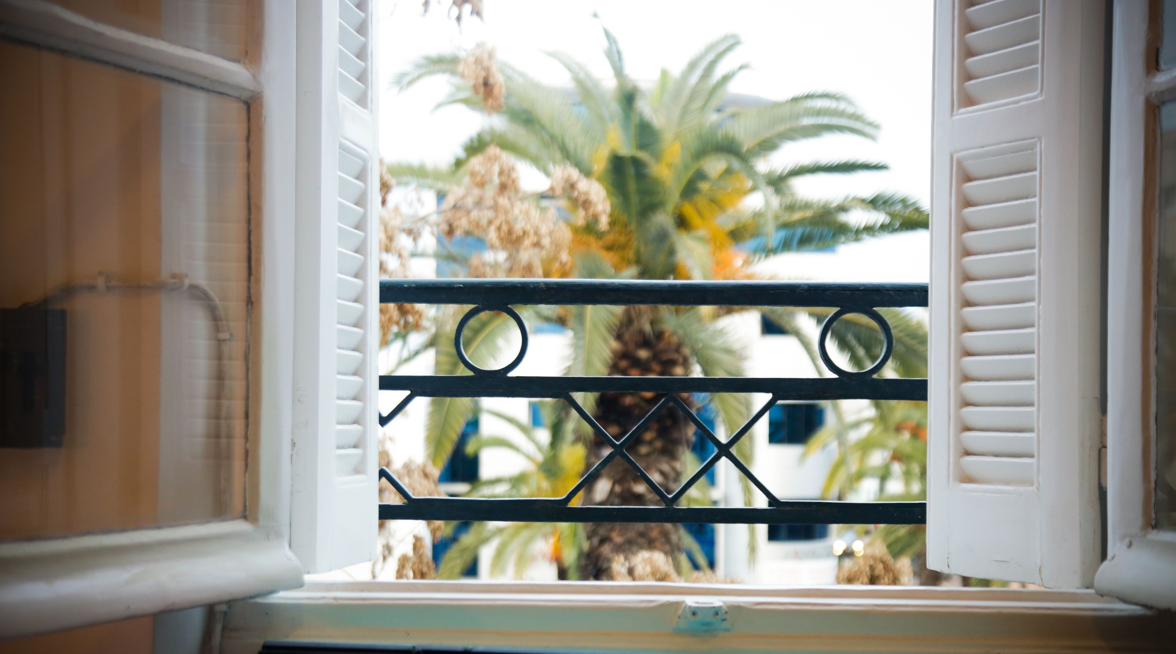 Ventana con reja metálica y contraventanas blancas, que da a una palmera y un edificio.