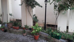 A courtyard with potted plants and a brick floor.