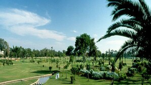 Ảnh chưa phân loại, 3 trong số 40 ảnh, nút