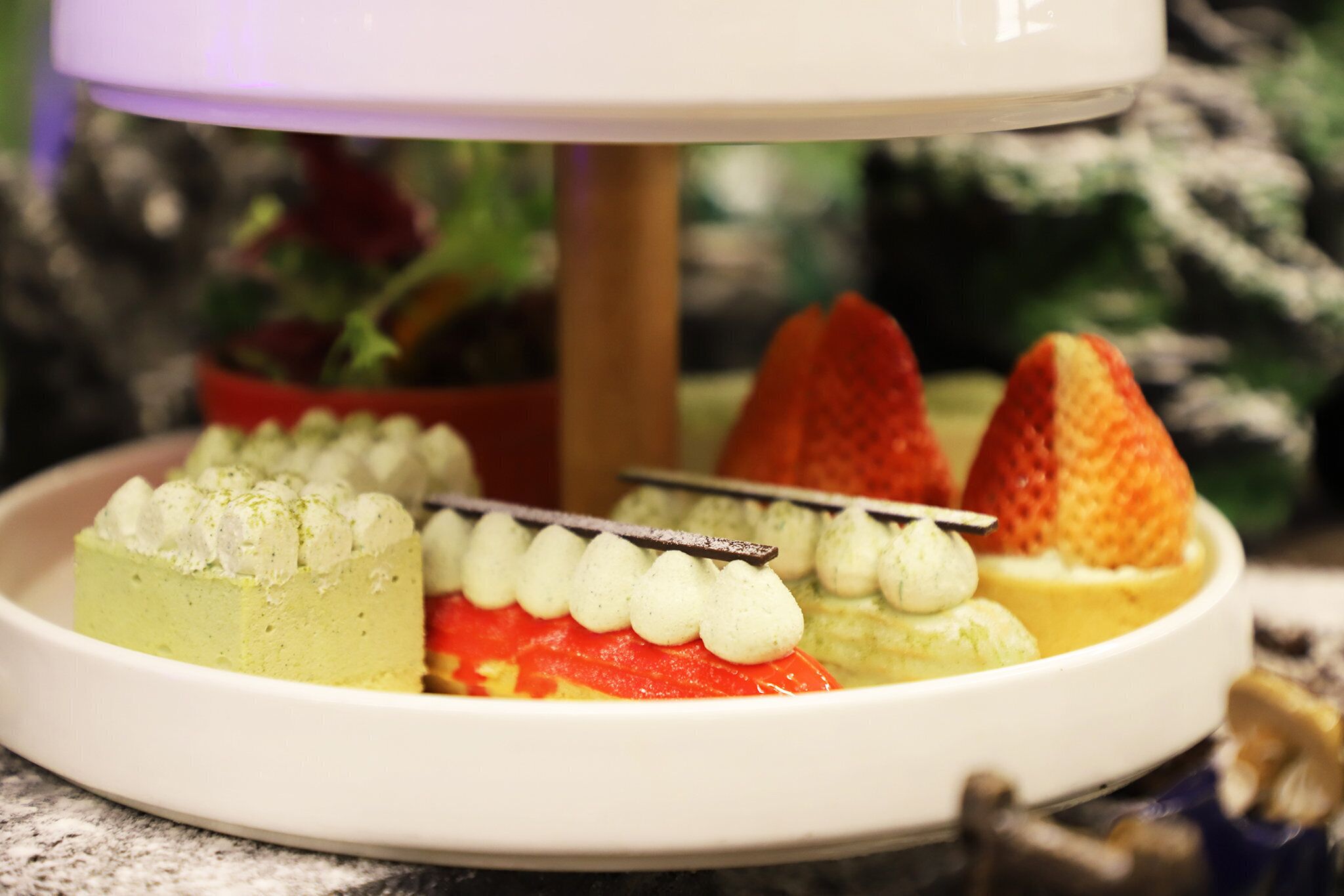 Un plato de postres con dulces varios y una barra de chocolate.