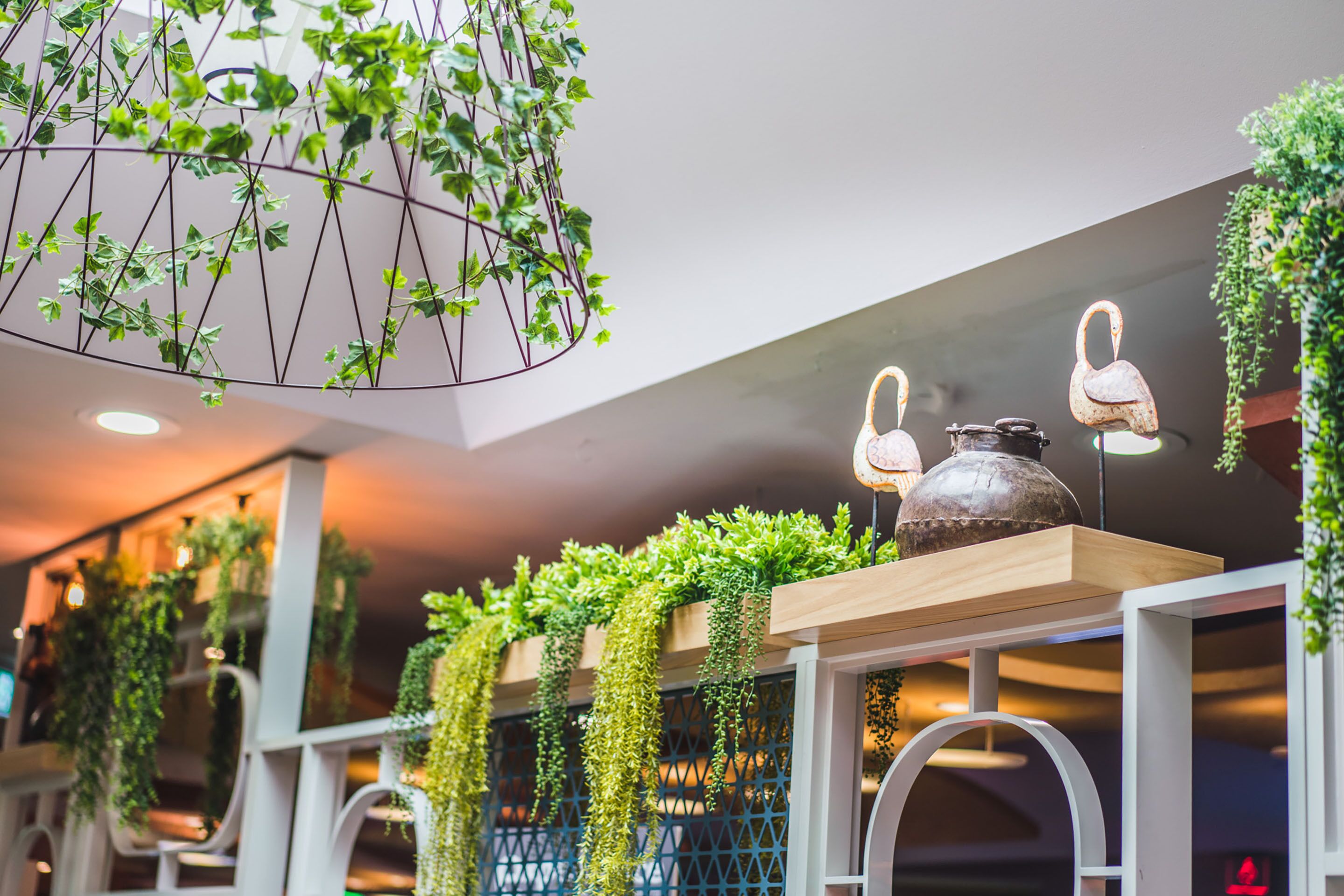 A modern interior with hanging plants, a wooden shelf with decorative items, and a white railing.
