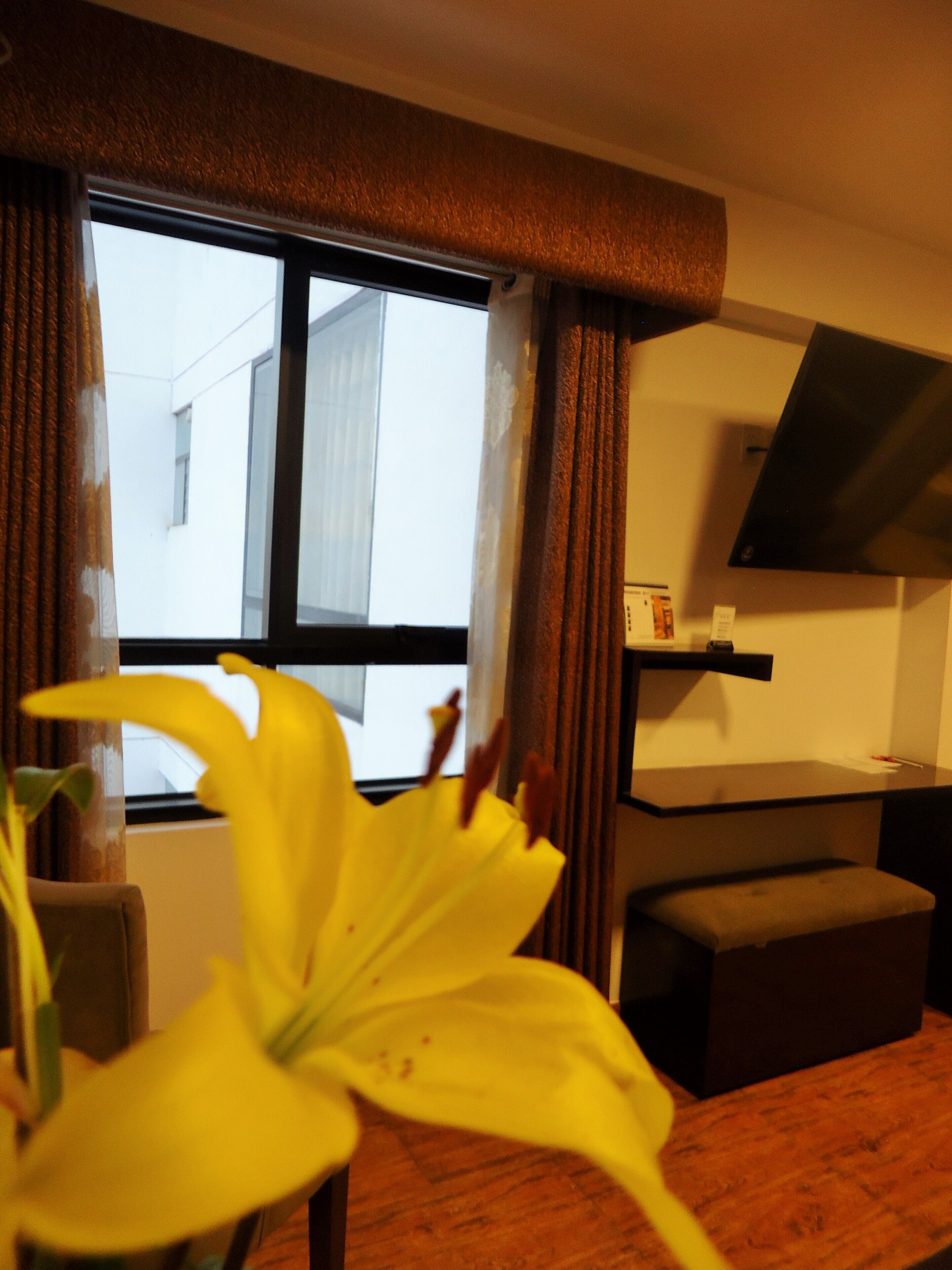 family room | 1 bedroom, in-room safe, desk, laptop workspace