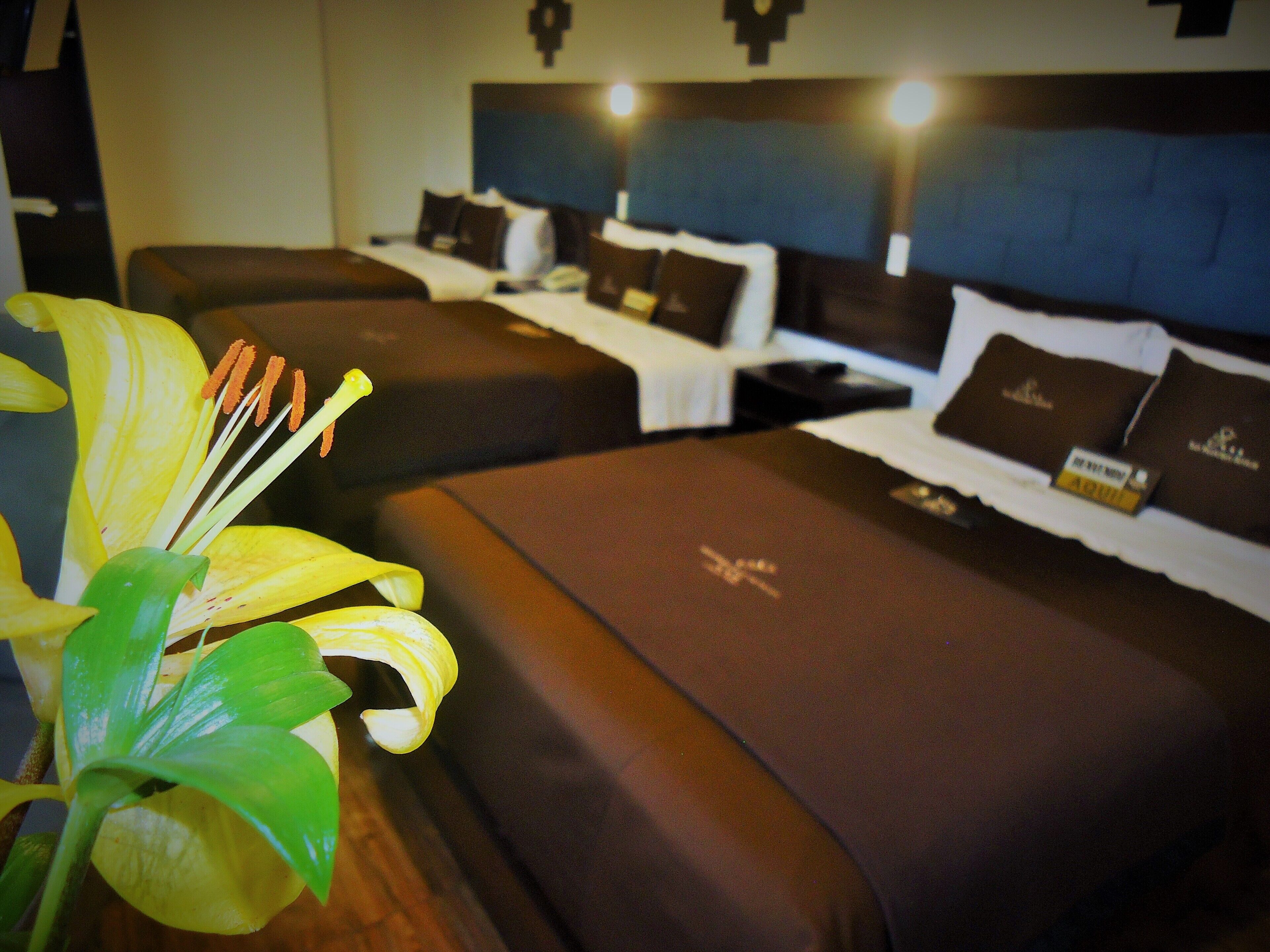 Photo - San Francisco Cusco Hotel