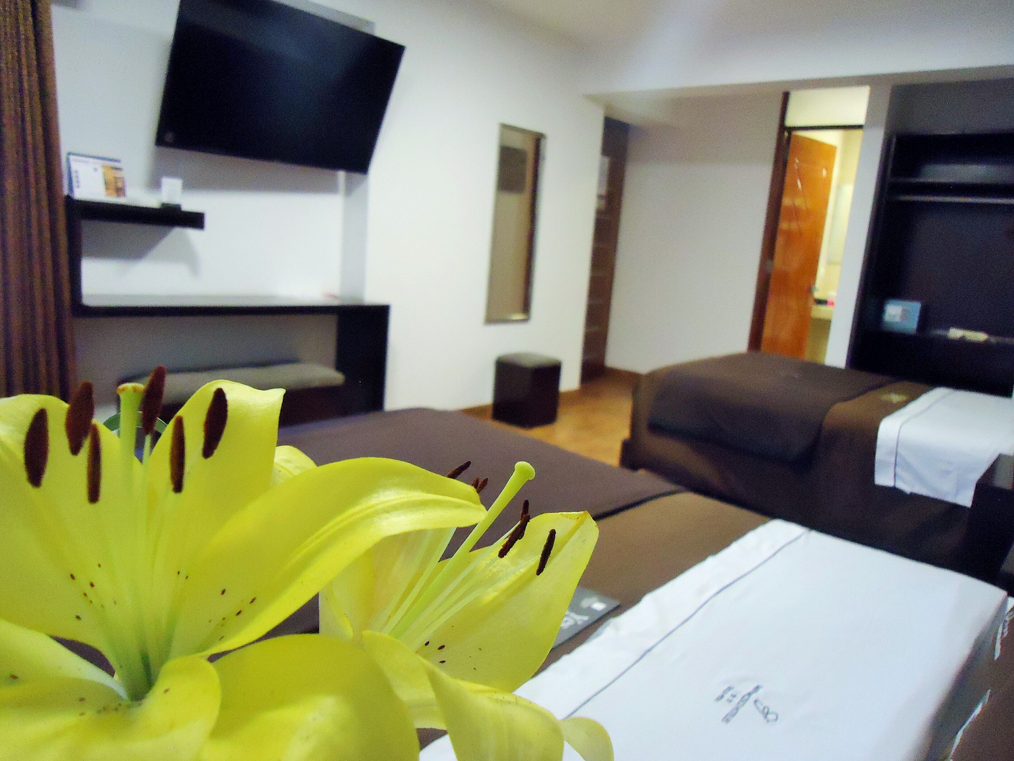 Photo - San Francisco Cusco Hotel