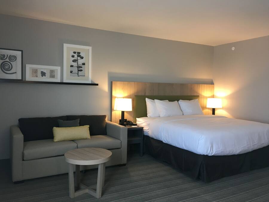 Une chambre d’hôtel avec un lit, un canapé, une petite table et deux lampes de chevet.