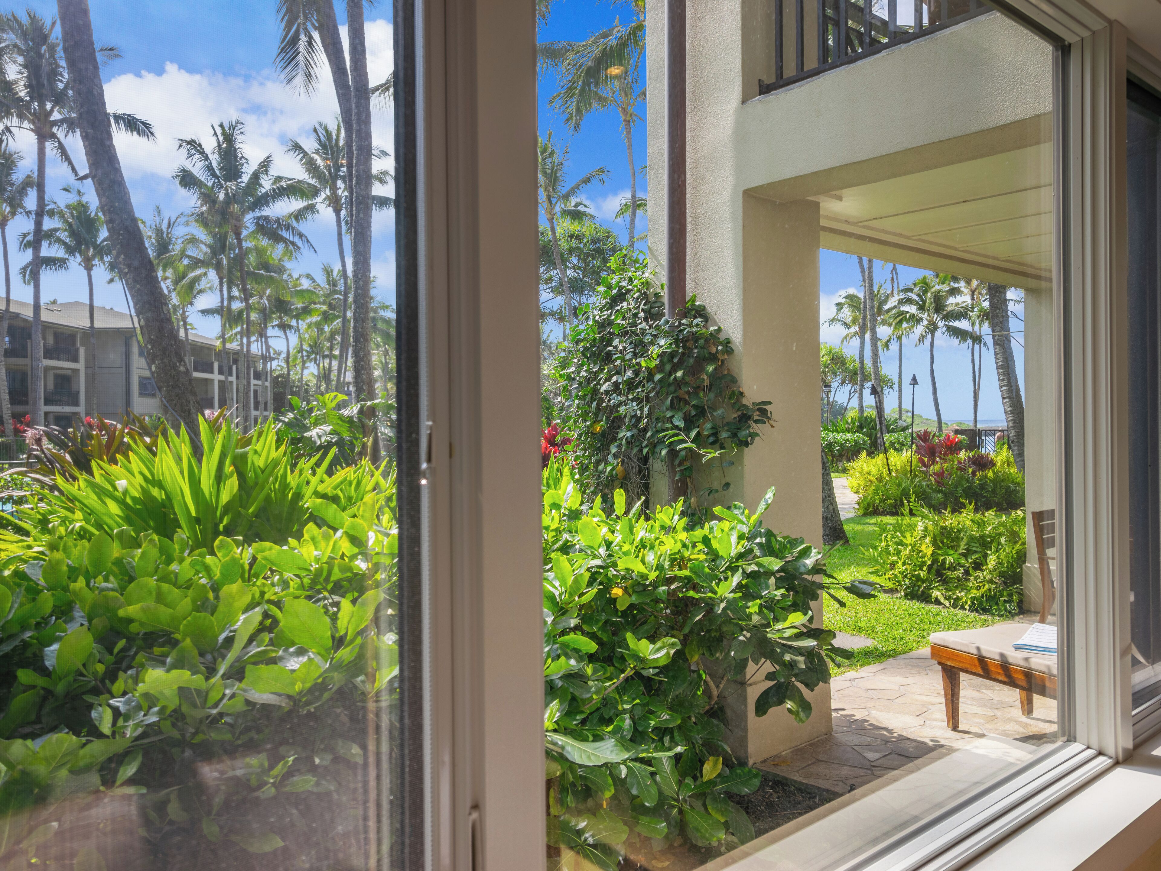 Vista desde una ventana de una habitación de hotel con balcón que da a un jardín exuberante y palmeras.