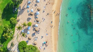 An aerial view of a beach with umbrellas, palm trees, and people. - Oceanfront Vacation Villas at Turtle Bay (Kahuku)