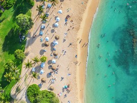 An aerial view of a beach with umbrellas, palm trees, and people.