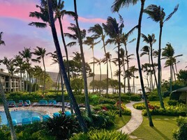 A resort with a swimming pool, lounge chairs, palm trees, and a pathway.