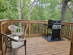 Property grounds - Relax at Hilltop Cottage - By Lake Margrethe "Dog Friendly & has a Game Room!!" (Grayling)