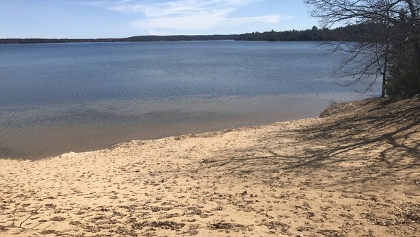 A sandy beach with a calm lake and a tree line in the background.