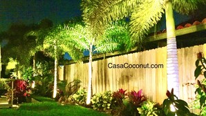 A well-lit garden with a wooden fence, palm trees, and various plants.