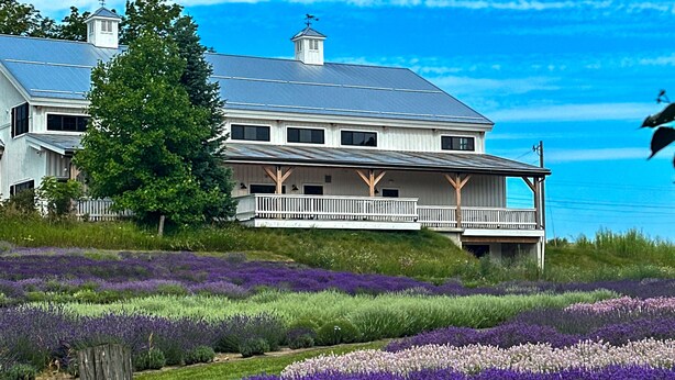 Une grande maison dotée d’un balcon donnant sur un champ de lavande.