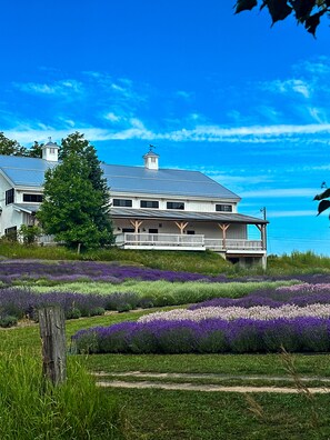 Een groot huis met een balkon dat uitkijkt over een lavenderveld.