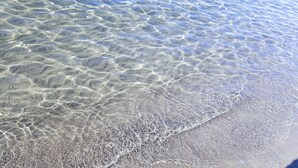 Une plage où l’eau est claire et peu profonde, révélant le fond sablonneux.
