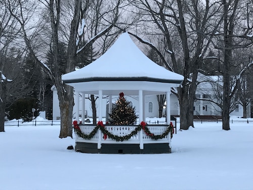 Okemo Ski Getaway in Mount Holly/Ludlow VT   Under 5 miles to the slopes.