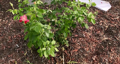 Get Away, Relax, and Unwind