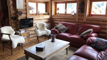 Télévision, cheminée, lecteur de DVD, livres