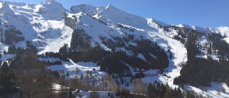 Deportes de invierno
