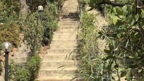 Eine Steintreppe führt zu einem Gebäude, umgeben von Grünpflanzen und einem Lampenpfosten.