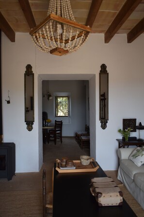 壁炉、DVD 播放器、书、立体声音响