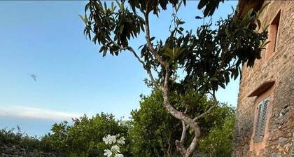 Sa Riba, maalaistalo Mallorcalla