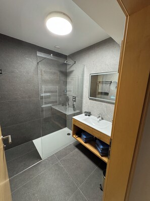 Combined shower/tub, hair dryer, towels, soap