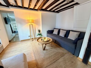 TV, video games - Superb 4-room apartment (Paris)