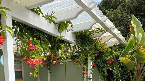 A covered patio area with wicker furniture, potted plants, and a stone pathway. -  COZY BEACH HOUSE plus  GUEST HOUSE 
each unit 2 adults  PET FRIENDLY (Santa Cruz)