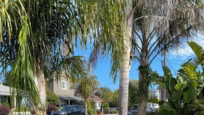 A residential street with palm trees, a white picket fence, and a well-maintained lawn. -  COZY BEACH HOUSE plus  GUEST HOUSE 
each unit 2 adults  PET FRIENDLY (Santa Cruz)