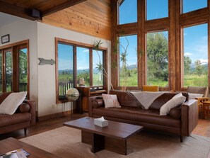 TV, fireplace, DVD player