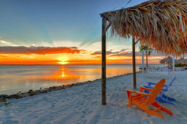 Beach - Waterfront Oasis ⚡ Near Lightning & Bucs Games (Tampa)