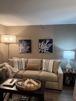 Téléviseur, foyer, jeux vidéo, lecteur de DVD