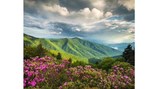 A mountainous landscape with lush greenery and purple flowers in the foreground. - Cozy Pet-Friendly Studio! Land of Oz ! Festivals! (Beech Mountain)