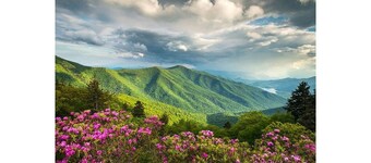 Walk to Beech Mountain Resort, PET Friendly!