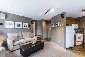 TV, fireplace, DVD player