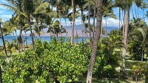 A tropical landscape with palm trees, a grassy area, and a view of the ocean. - 1BR/1BA BEACHFRONT • GREAT LOCATION • July 2026-Sept 2026 Discounted! (Kihei)
