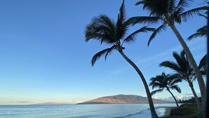 A beach with palm trees and a clear sky. - 1BR/1BA BEACHFRONT • GREAT LOCATION • July 2026-Sept 2026 Discounted! (Kihei)
