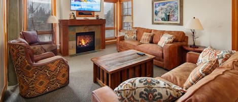 Televisión, chimenea, videoteca