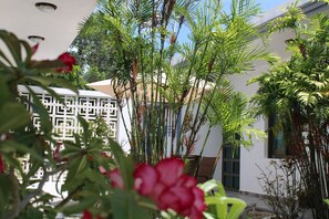 Garden - Casa Zazil (Bacalar)